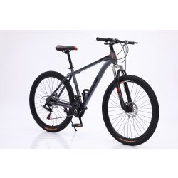   Rush B129-GB 29" MTB bicykel s kotúčovou brzdou teleskopická sivo-čierna